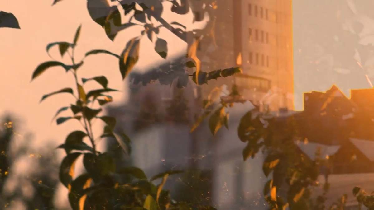 Кадр из клипа, снятого дочерью этим летом