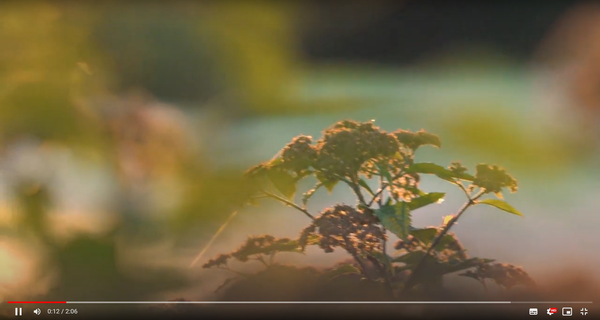 Кадр из клипа, снятого дочерью