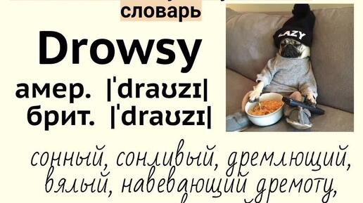 Picture dictionary/визуальный словарь👉drowsy