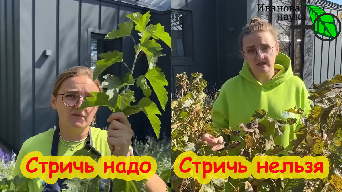Это очень хорошо, когда человек признает свои ошибки и учится. Но какова цена ошибки блогера? Тысячи испорченных садов и огородов?