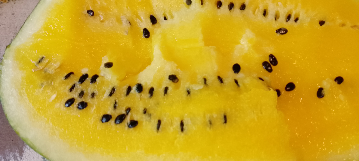 Личное фото