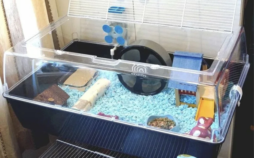 Клетка должна быть большая