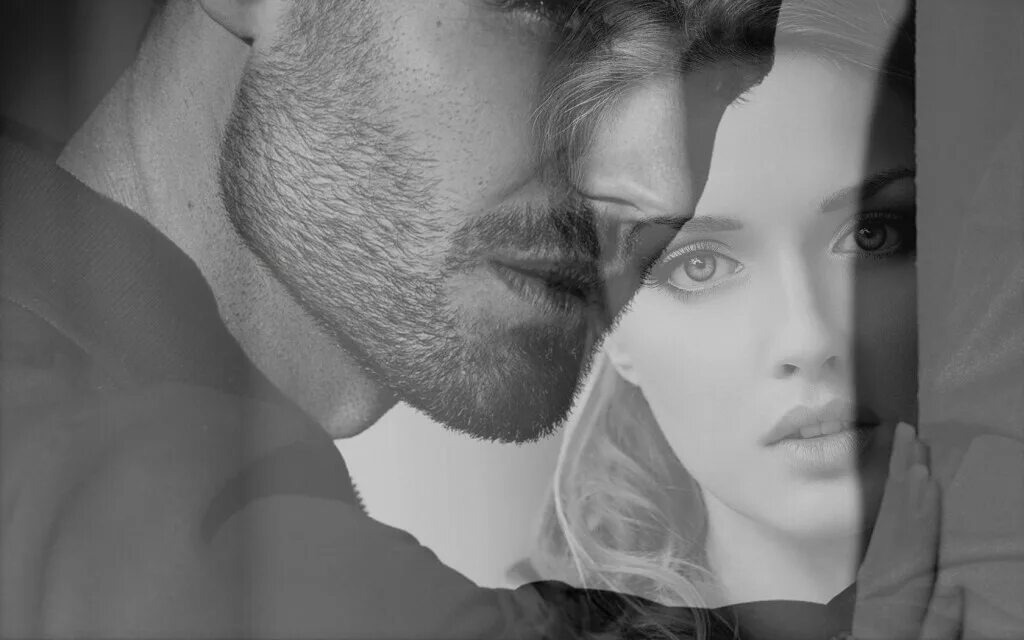 Яндекс. Картинки.