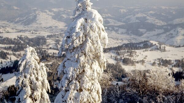    © РИА Новости . Б. Криштул