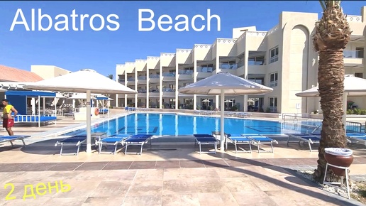 #120 ☀️🌴 #2 Второй день в Albatros Beach Resort ( Хургада , Египет 2024 )