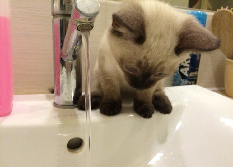 Фото: ® UfacityNews.ru