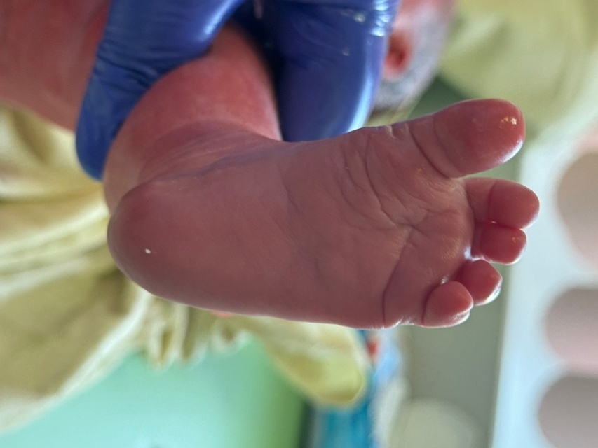    Фото: vk.com/perinatal_center_rzn