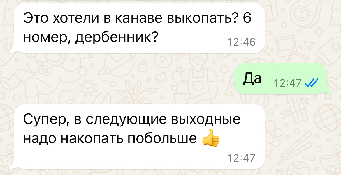 Наша с Ленкой переписка 