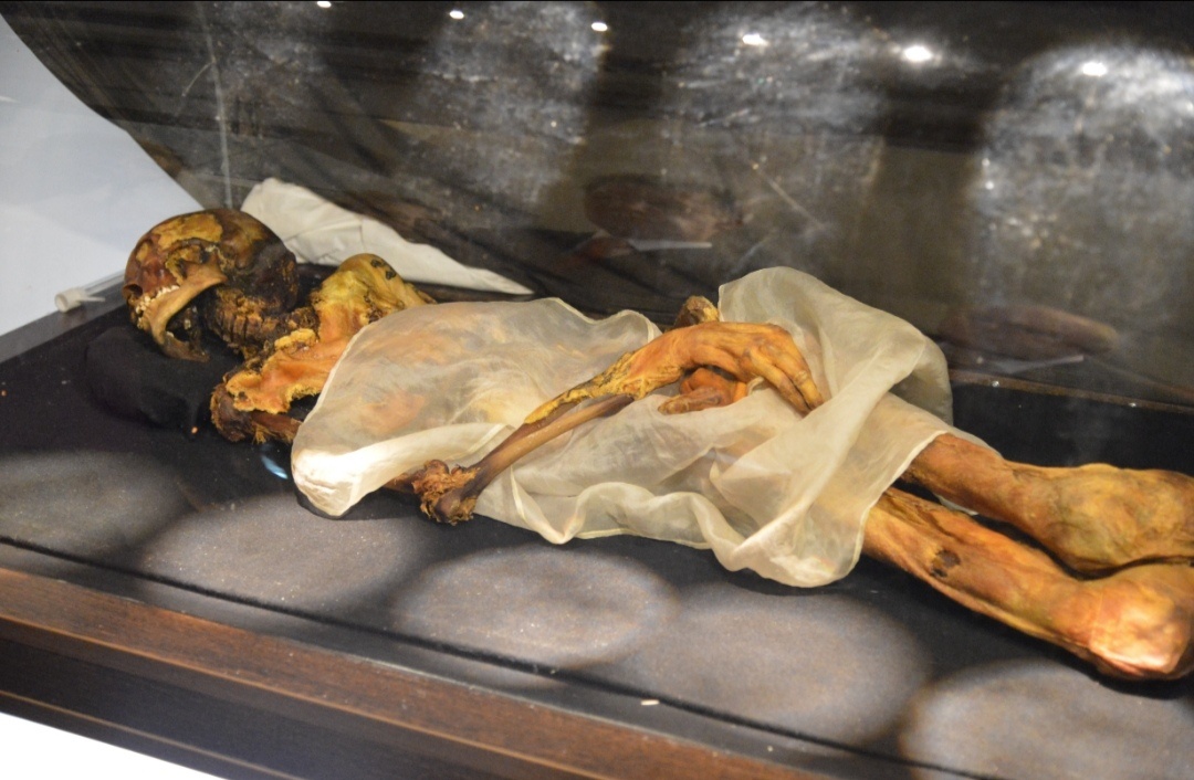 Найденная мумия
