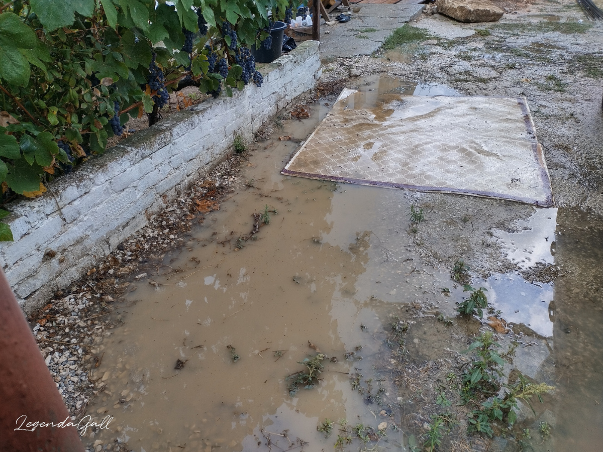 Только вплавь...