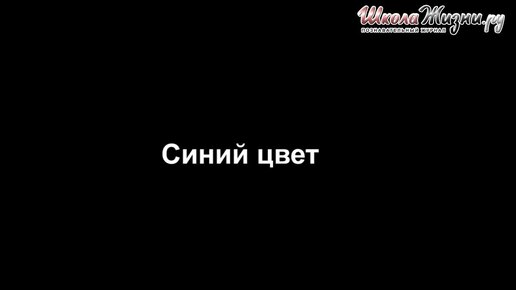 Как цвет влияет на здоровье и настроение?