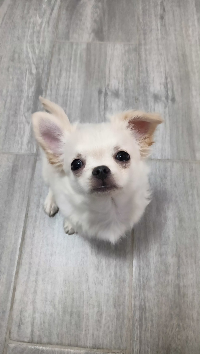 Здесь мне 4 месяца. 