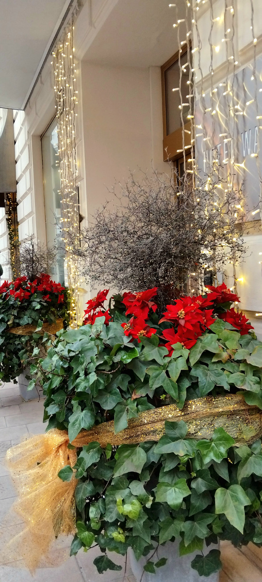 Личное фото от автора 