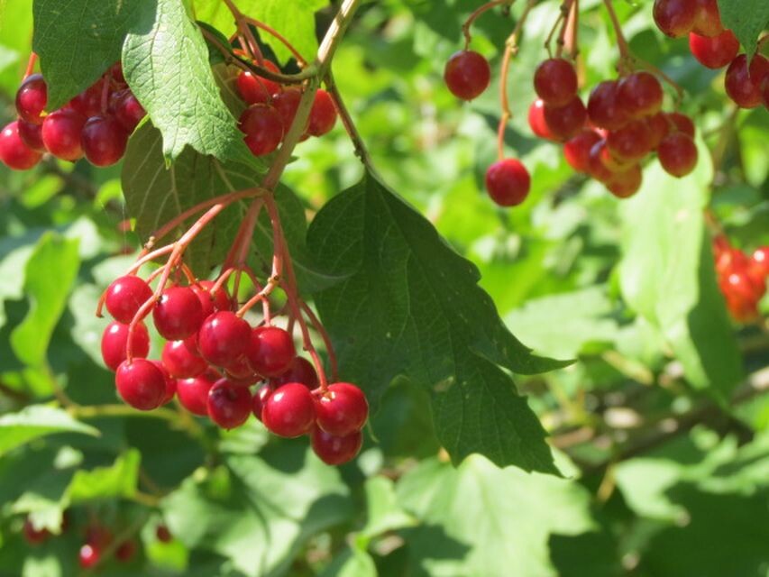 Гороскоп на понедельник 2 сентября