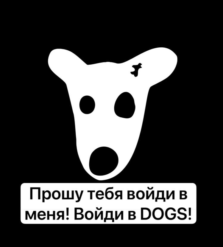 Не зашёл в DOGS? Фатальная ошибка.