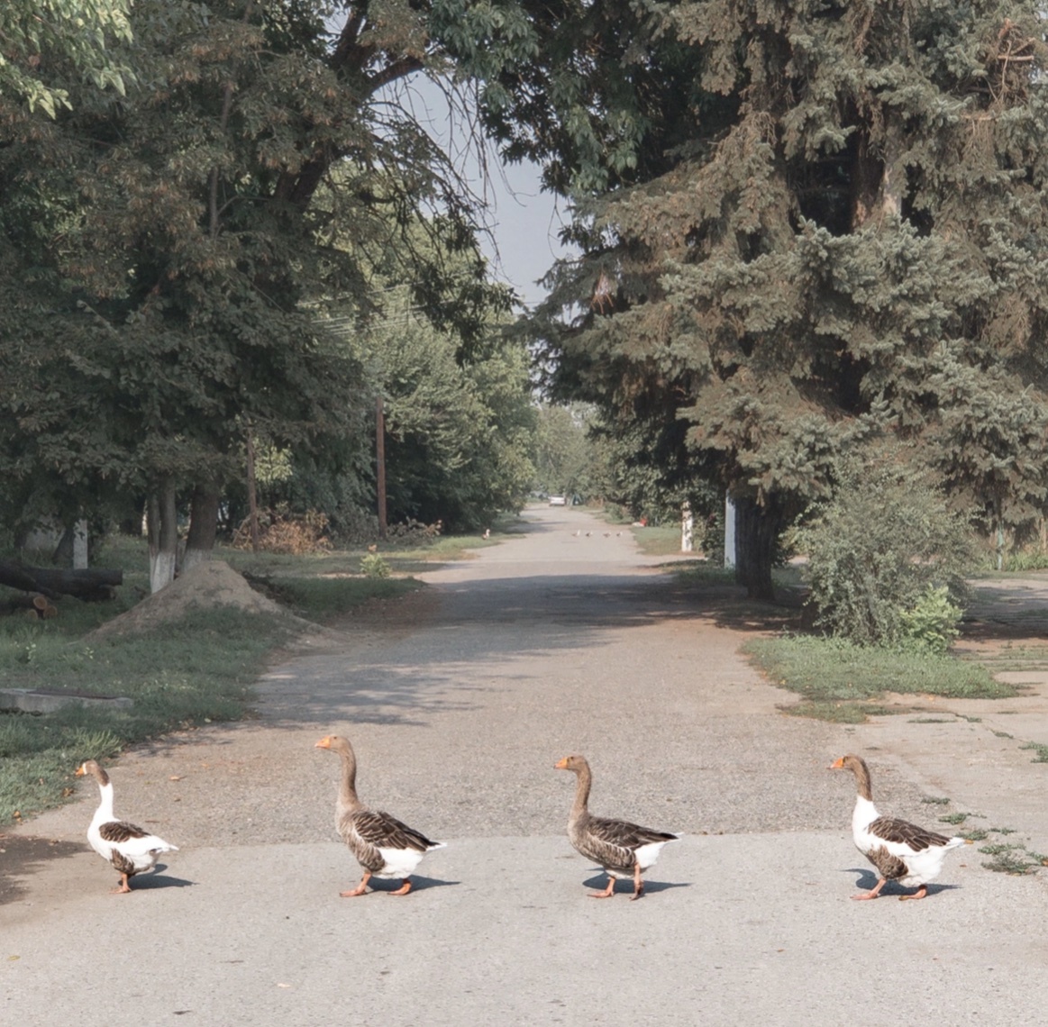 Дмитрий Марков. Прохладный, 2019. Предоставлено Anna Nova