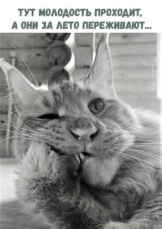 Вы больше мне не ты