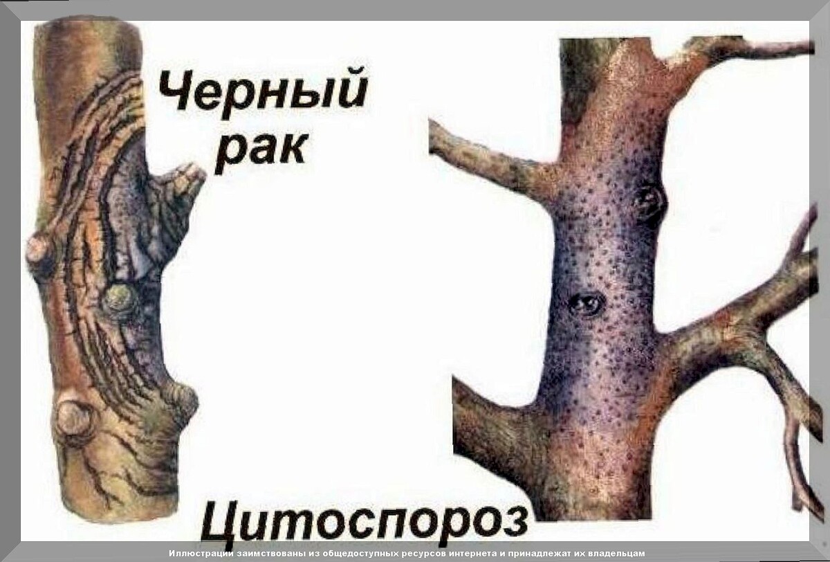 https://vk.com/photo-159774511_457266647