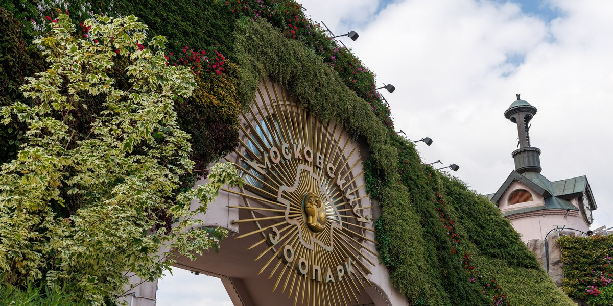 Фото: Михаил Голденков