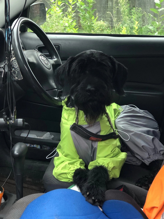 Тор в машине