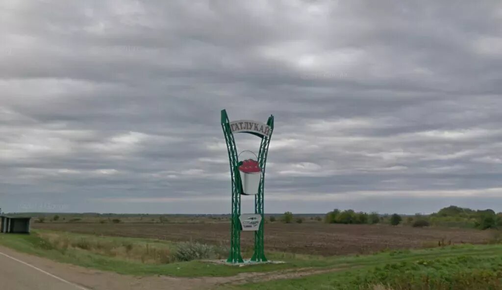 Огромное ведро помидоров и снизу “Волга”