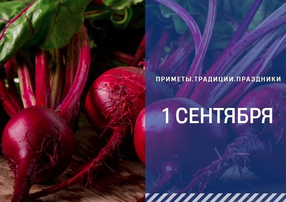 ГТРК "Ставрополье"
