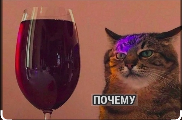 Фото из открытых источников. 