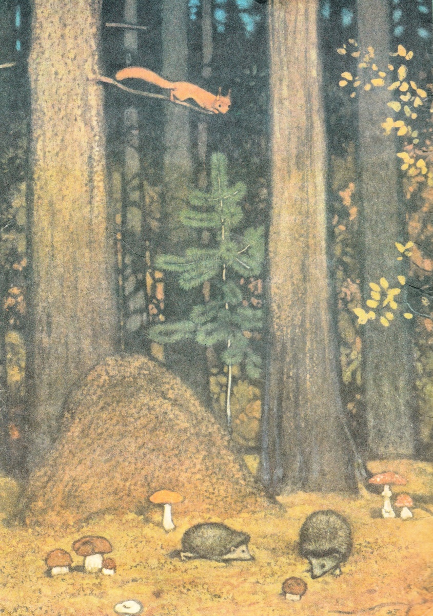 Форзац (оборот обложки)