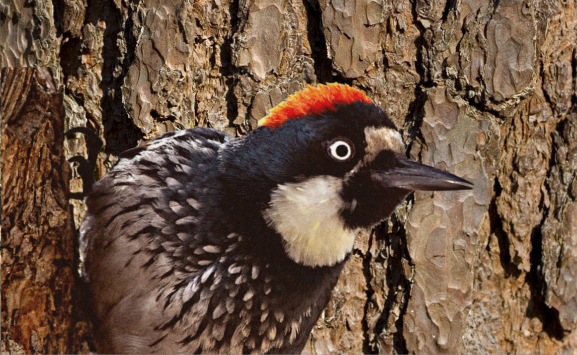 Попробуем понять, что им движет – какое-то психическое отклонение или же он просто сверхбережлив?