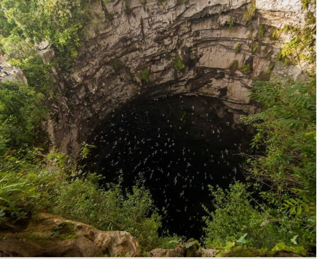 Достопримечательность пещеры - стаи птиц. Фото с сайта https://cattur.ru/north-america/mexico/peshhera-lastochek-v-meksike.html?ysclid=m0byq6b1yj53865808