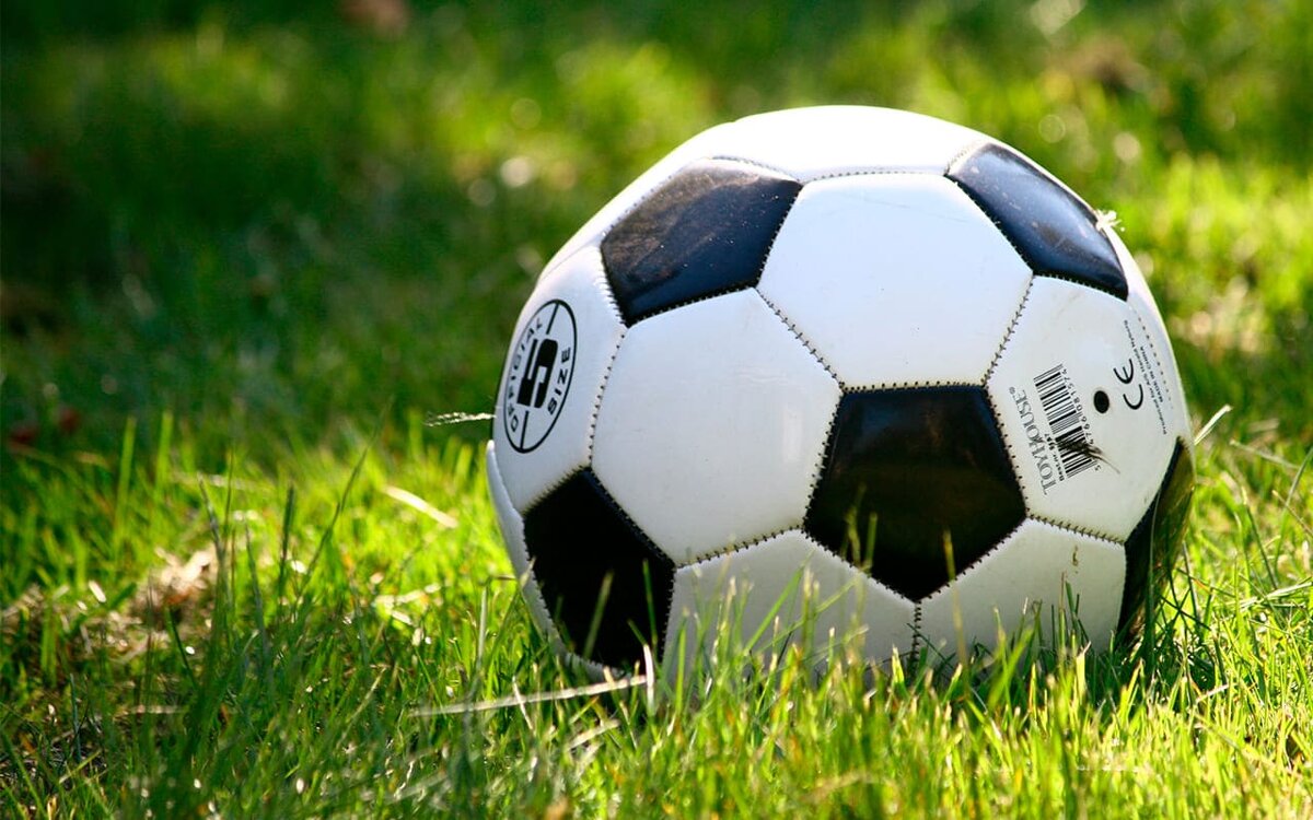    Воронежский «Факел» заплатил больше налогов, чем получил субсидий Pxhere.com