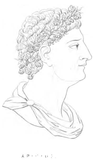 Портрет Апиция, римского гурмана, который, как считается, собрал книгу «De Re Coquinaria». 