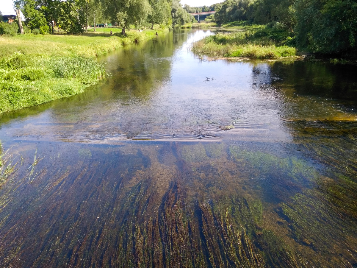 Вид на Протву с пешеходного моста в Верее, Вдалеке виднеется мост автомобильный