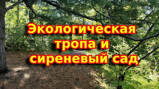 Экологическая тропа и Сирингарий в Ботаническом саду ИГУ