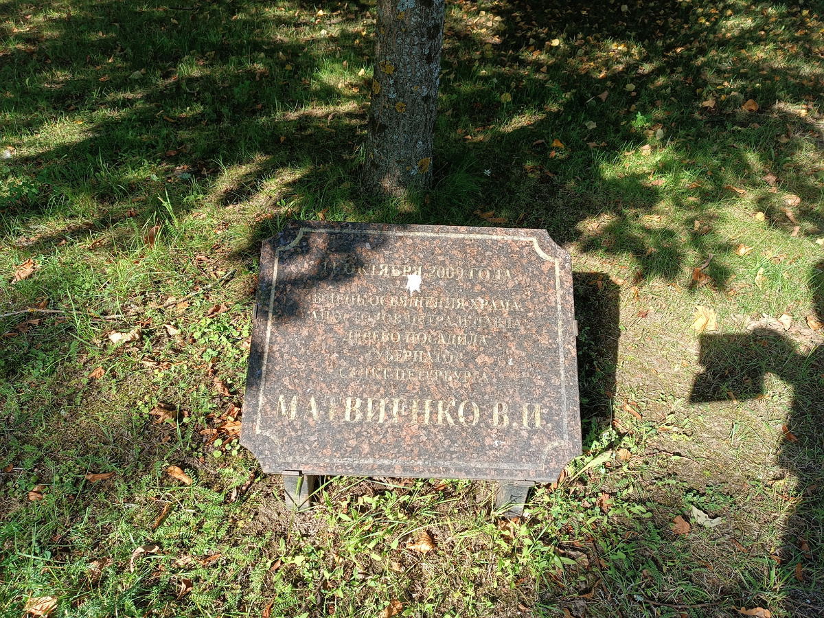 Памятная табличка у дерева, посаженного тогдашним губернатором Санкт-Петербурга Валентиной Матвиенко 