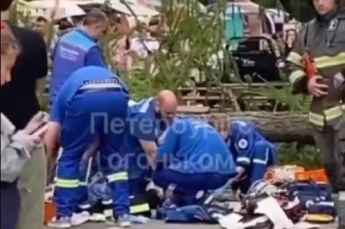    Из-за ветра в центре Петербурга прямо на людей упало несколько деревьев
