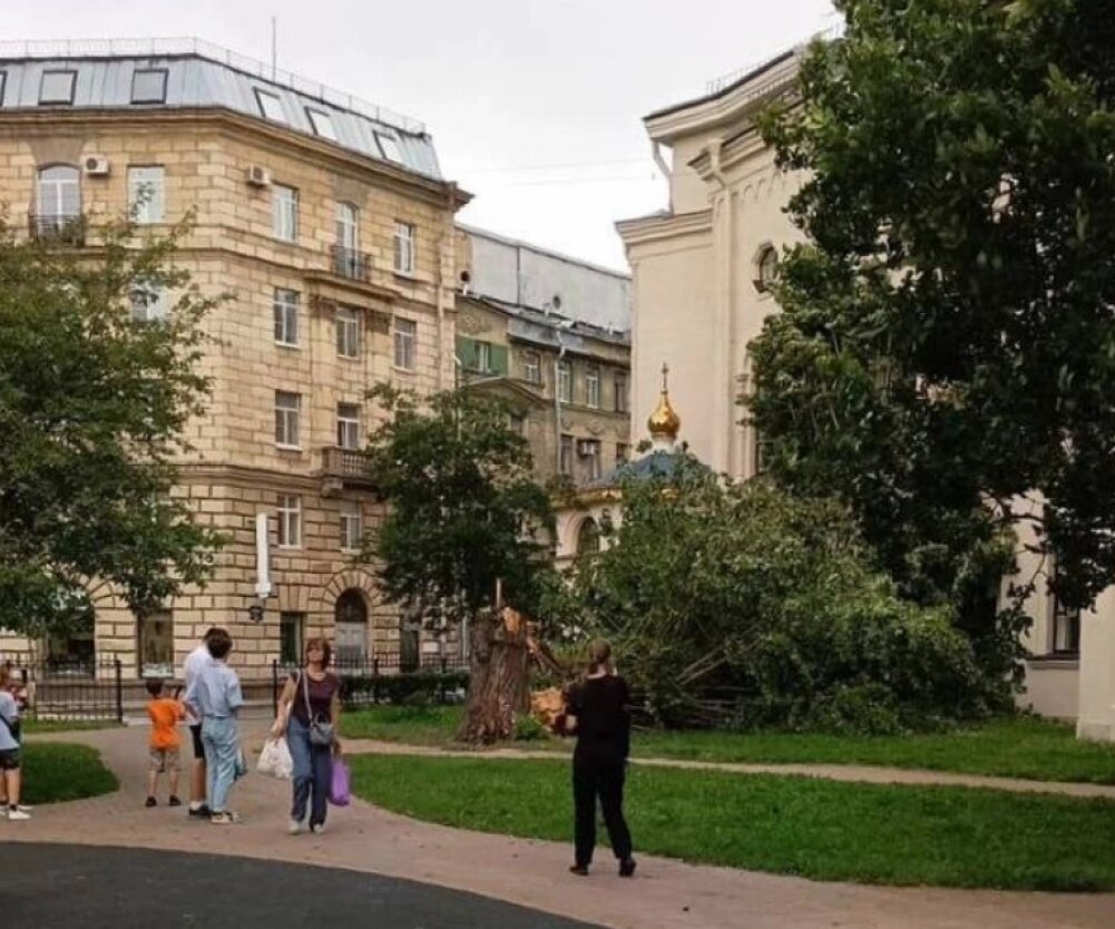    Фото: Telegram-канал "Петербург с огоньком"