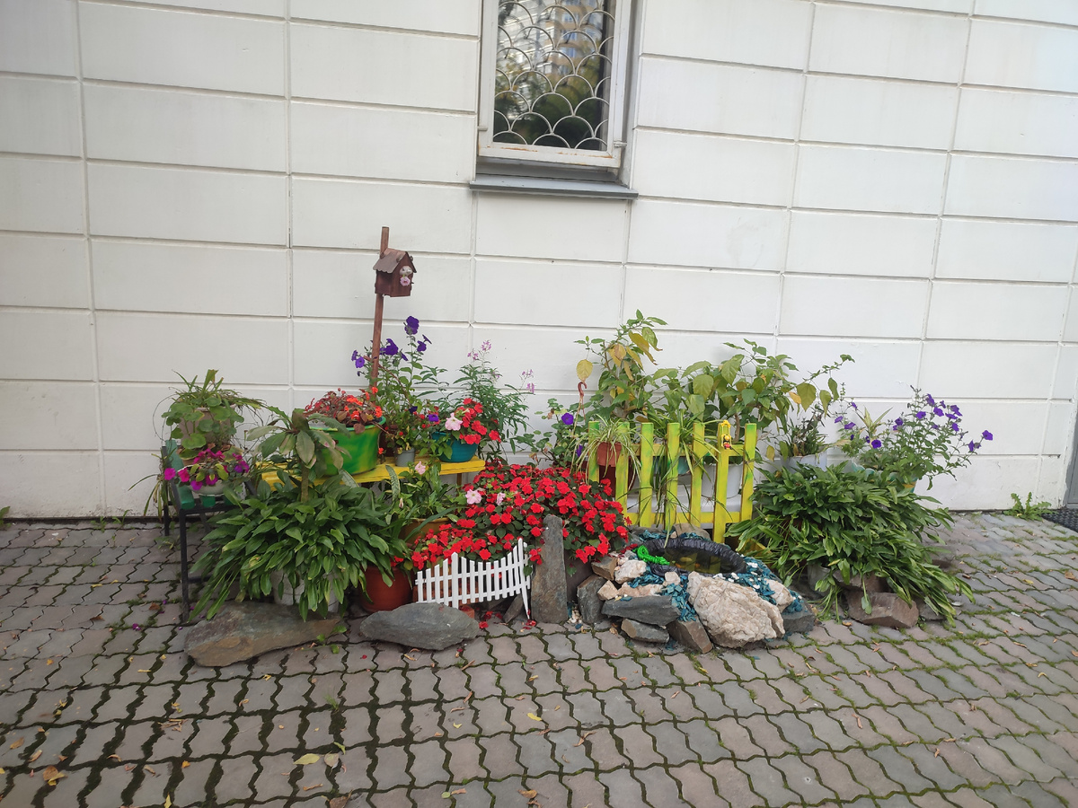 Красота возле входа в общежитие