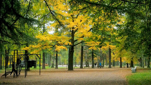 【Прогулка по Питеру】🍂Удельный парк・🐕Пионерская・Золотая осень・Санкт-Петербург・СПб・Алексей Михайлов YouTube Видео Экскурсия