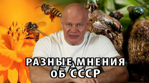 Разное отношение к СССР на наглядном примере.