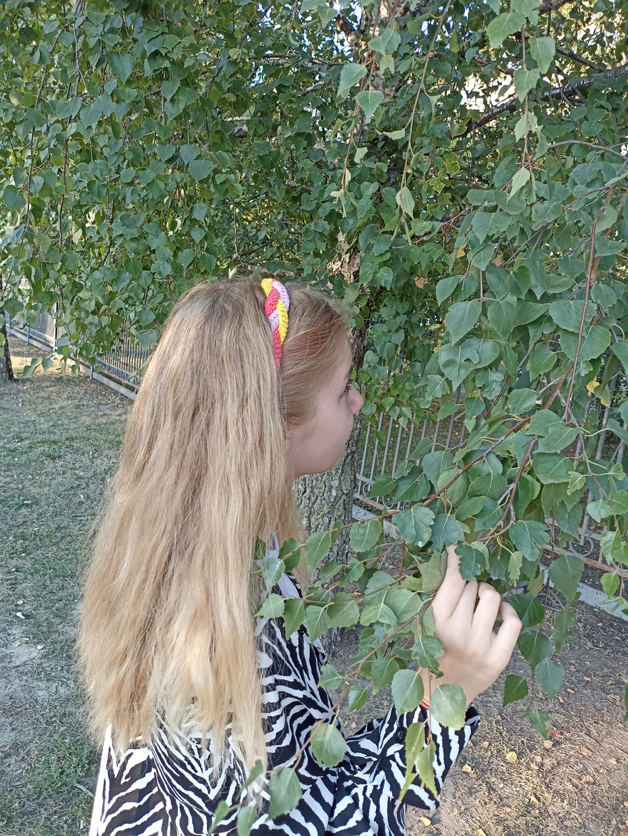 Ободок связанный крючком.