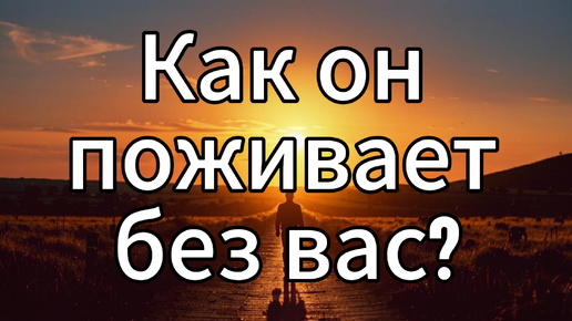 Как он поживает без вас? Таро.