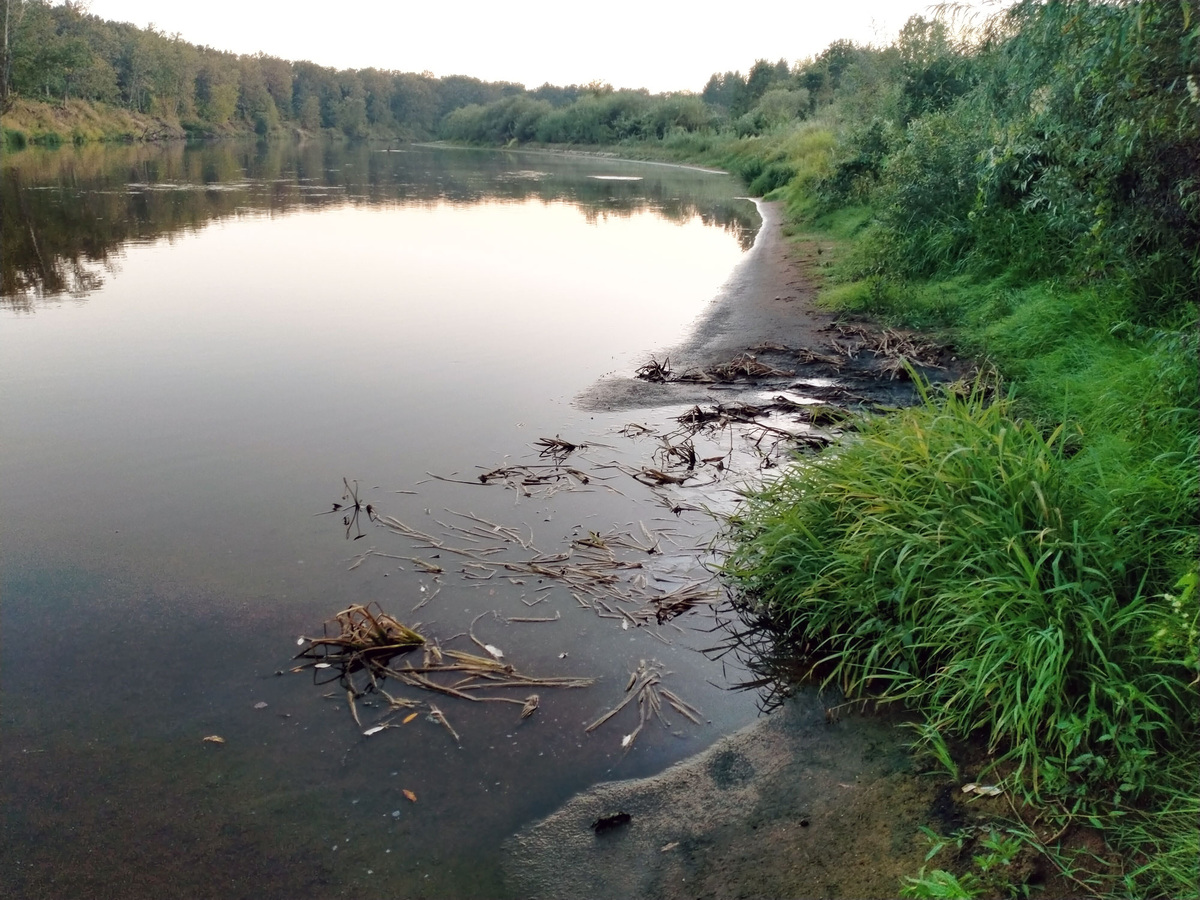 Река Клязьма обмелела