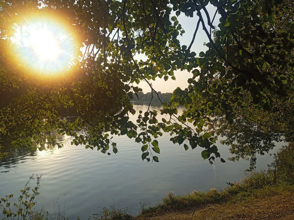Серебряно-Виноградный пруд. Измайлово. Г.Москва.