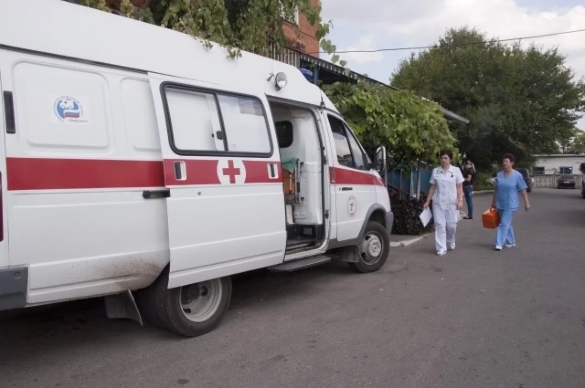    В Санкт-Петербурге мужчину придавило рухнувшее дерево