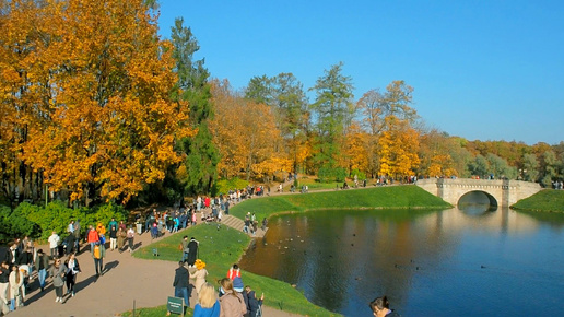 🍂Золотая осень в Гатчине・🍁Пригороды・Прогулка по Питеру・Санкт-Петербург・СПб・Walk・Алексей Михайлов YouTube Видео Экскурсия