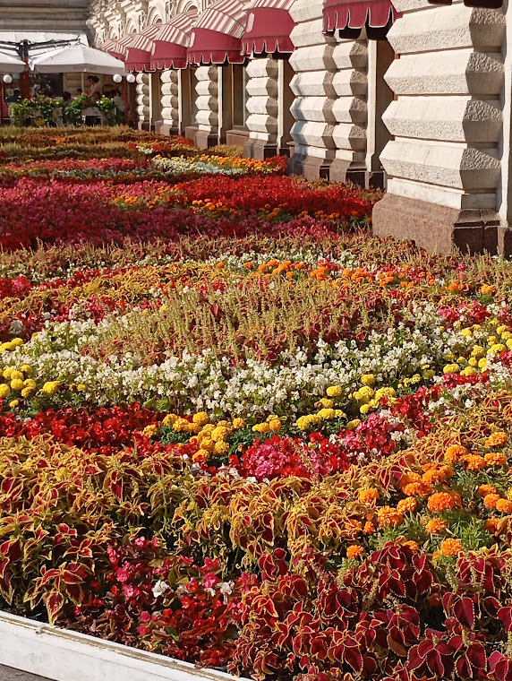 Клумба рядом