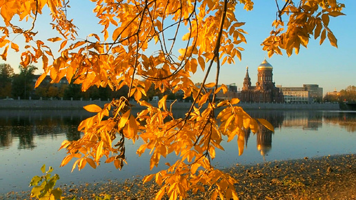 🍂Золотая осень в Екатерингофе・Нарвская・Прогулка по Питеру・Санкт-Петербург・СПб・Walk・Алексей Михайлов YouTube Видео Экскурсия