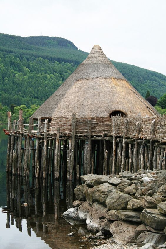 Он же, вид сбоку