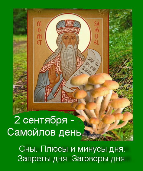 Источник:  Яндекс  картинки. 